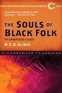 Produktbild: The Souls of Black Folk