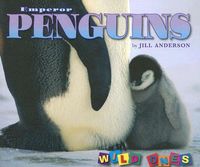 Bild vom Artikel Emperor Penguins vom Autor Jill Anderson