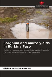 Produktbild: Sorghum and maize yields in Burkina Faso