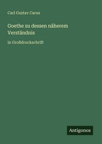 Produktbild: Goethe zu dessen n&auml;herem Verst&auml;ndnis