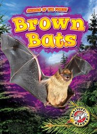 Produktbild: Brown Bats