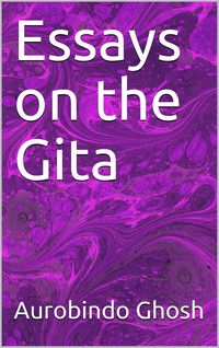 Produktbild: Essays on The Gita