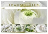 Produktbild: Traumbl&uuml;ten in Wei&szlig; (Wandkalender 2027 DIN A3 quer), CALVENDO Monatskalender
