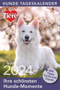 Bild vom Artikel Hunde Tageskalender 2024 vom Autor 