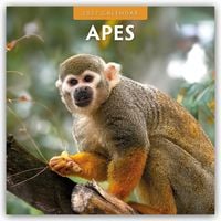 Produktbild: Apes &ndash; Affen 2027 &ndash; 16-Monatskalender