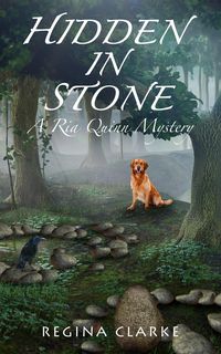 Produktbild: Hidden In Stone (Ria Quinn Mysteries, #1)