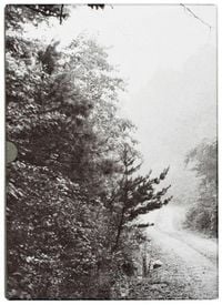 Produktbild: John Cage & William Gedney: Iris Garden