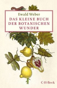 Produktbild: Das kleine Buch der botanischen Wunder