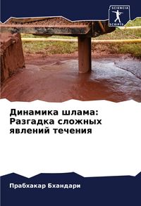 Produktbild: Dinamika shlama: Razgadka slozhnyh qwlenij techeniq