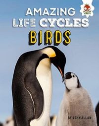 Produktbild: Amazing Life Cycles-Birds