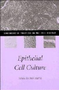 Produktbild: Epithelial Cell Culture