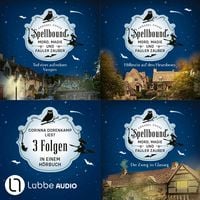 Produktbild: Spellbound - Folge 1-3