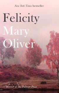 Produktbild: Felicity