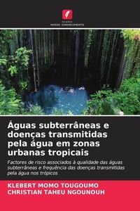 Produktbild: &Aacute;guas subterr&acirc;neas e doen&ccedil;as transmitidas pela &aacute;gua em zonas urbanas tropicais