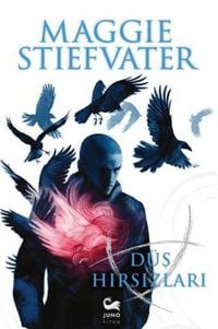Produktbild: D&uuml;s Hirsizlari