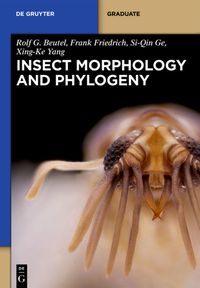 Produktbild: Insect Morphology and Phylogeny