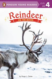 Produktbild: Reindeer