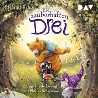 Produktbild: Die zauberhaften Drei (Teil 1&ndash;3)