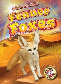 Produktbild: Fennec Foxes