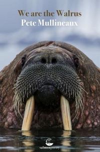 Produktbild: We Are The Walrus