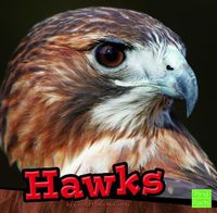 Produktbild: Hawks