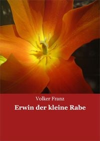 Produktbild: Erwin der kleine Rabe