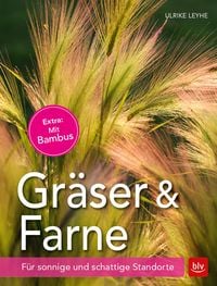 Produktbild: Gr&auml;ser und Farne