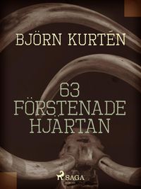 Produktbild: 63 f&ouml;rstenade hj&auml;rtan