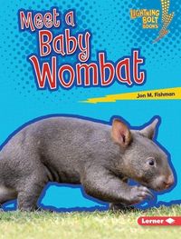 Produktbild: Meet a Baby Wombat