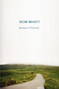 Produktbild: Now What?