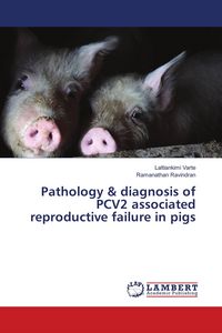 Produktbild: Pathology & diagnosis of PCV2 associated reproductive failure in pigs