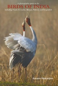 Produktbild: Birds Of India