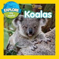Produktbild: Explore My World: Koalas