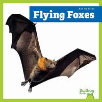 Produktbild: Flying Foxes