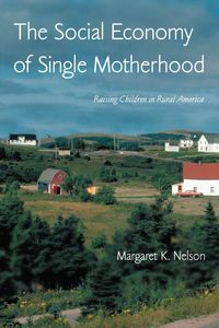 Produktbild: The Social Economy of Single Motherhood