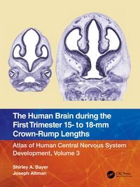 Produktbild: The Human Brain during the First Trimester 15- to 18-mm Crown-Rump Lengths