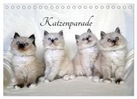 Produktbild: Katzenparade (Tischkalender 2026 DIN A5 quer), CALVENDO Monatskalender