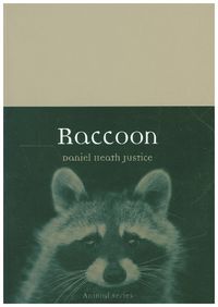 Produktbild: Raccoon