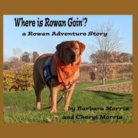 Produktbild: Where is Rowan Goin'?