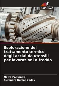 Produktbild: Esplorazione del trattamento termico degli acciai da utensili per lavorazioni a freddo