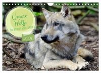 Produktbild: Unsere W&ouml;lfe - Ein Wildtier kehrt zur&uuml;ck (Wandkalender 2026 DIN A4 quer), CALVENDO Monatskalender