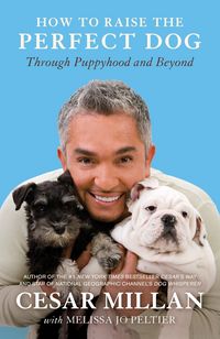 Produktbild: How to Raise the Perfect Dog