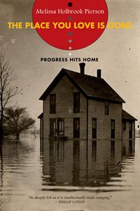 Produktbild: The Place You Love Is Gone