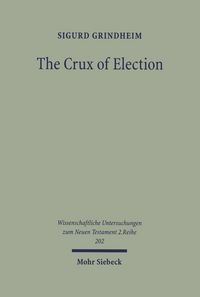 Produktbild: The Crux of Election