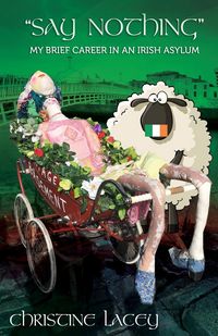 Produktbild: "Say Nothing"-My Brief Career in an Irish Asylum