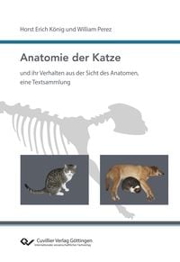 Produktbild: Anatomie der Katze und ihr Verhalten aus der Sicht des Anatomen, eine Textsammlung