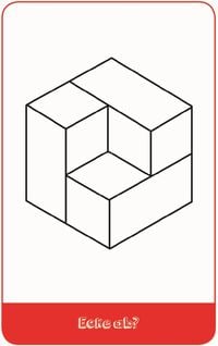 Moses. - Quiz-Box Optische Illusionen