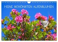 Produktbild: Meine sch&ouml;nsten Alpenblumen (Wandkalender 2026 DIN A4 quer), CALVENDO Monatskalender
