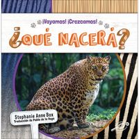 Produktbild: &iquest;Qu&eacute; Nacer&aacute;?