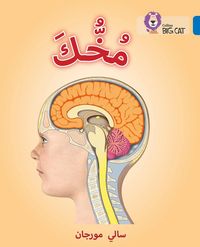 Produktbild: BIG CAT ARABIC - UR BRAIN